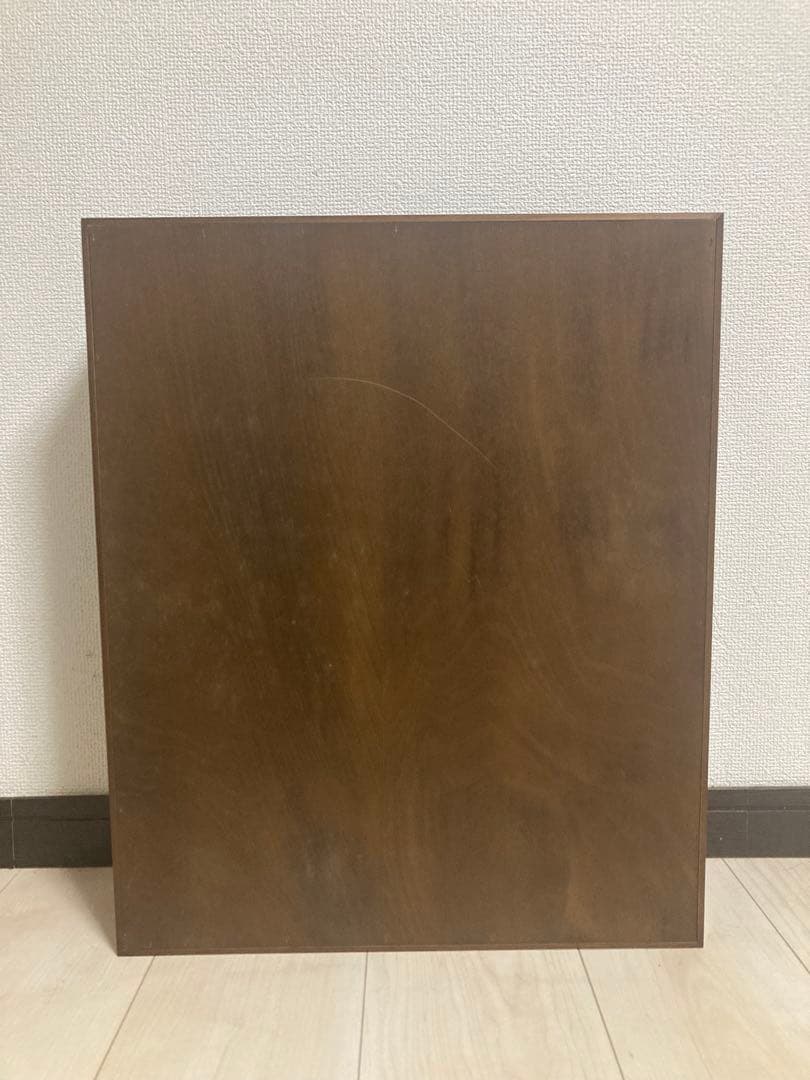 カブトムシ　標本　海外　標本箱　まとめ売り