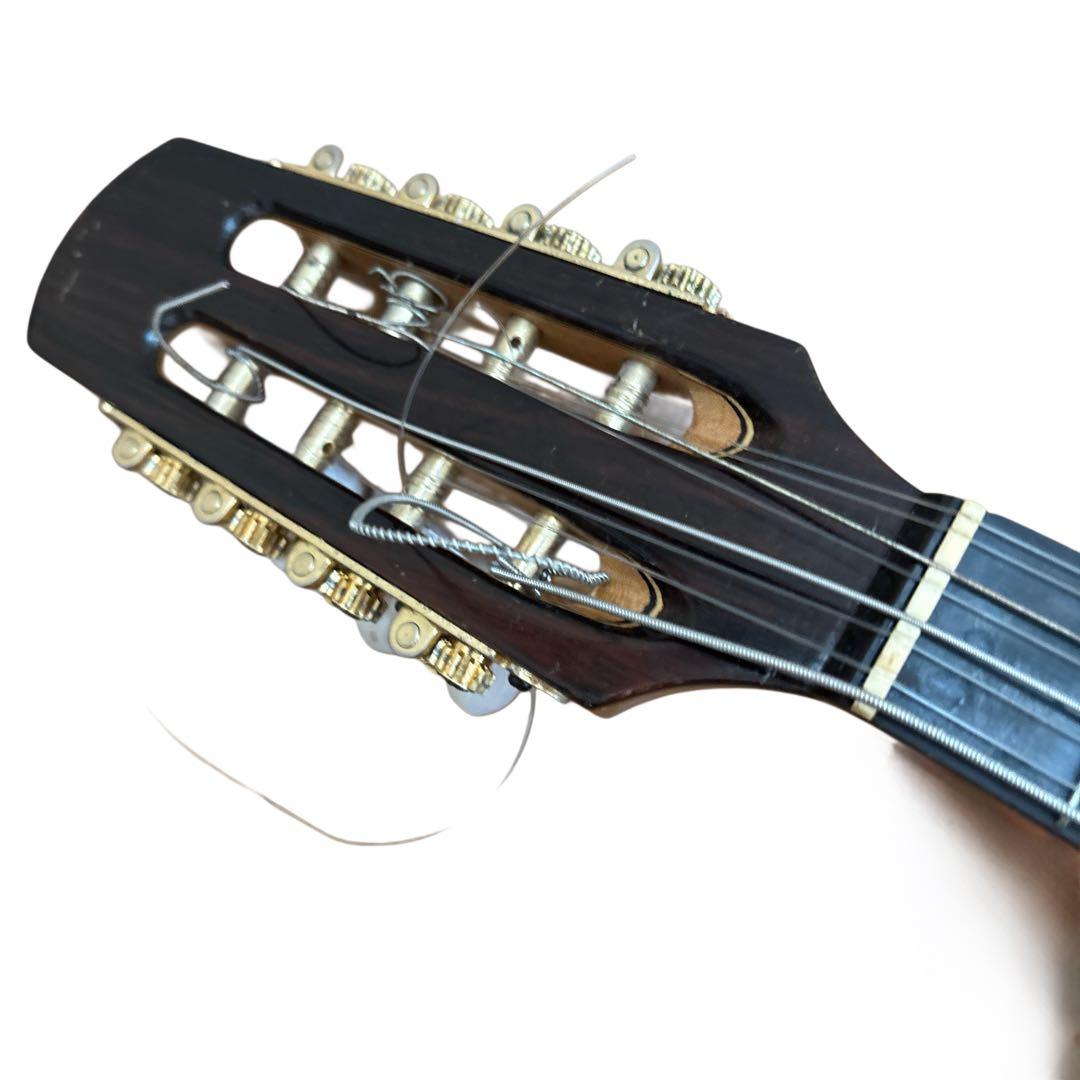 ケース付きsuzuki MD-8 マンドリン 本体