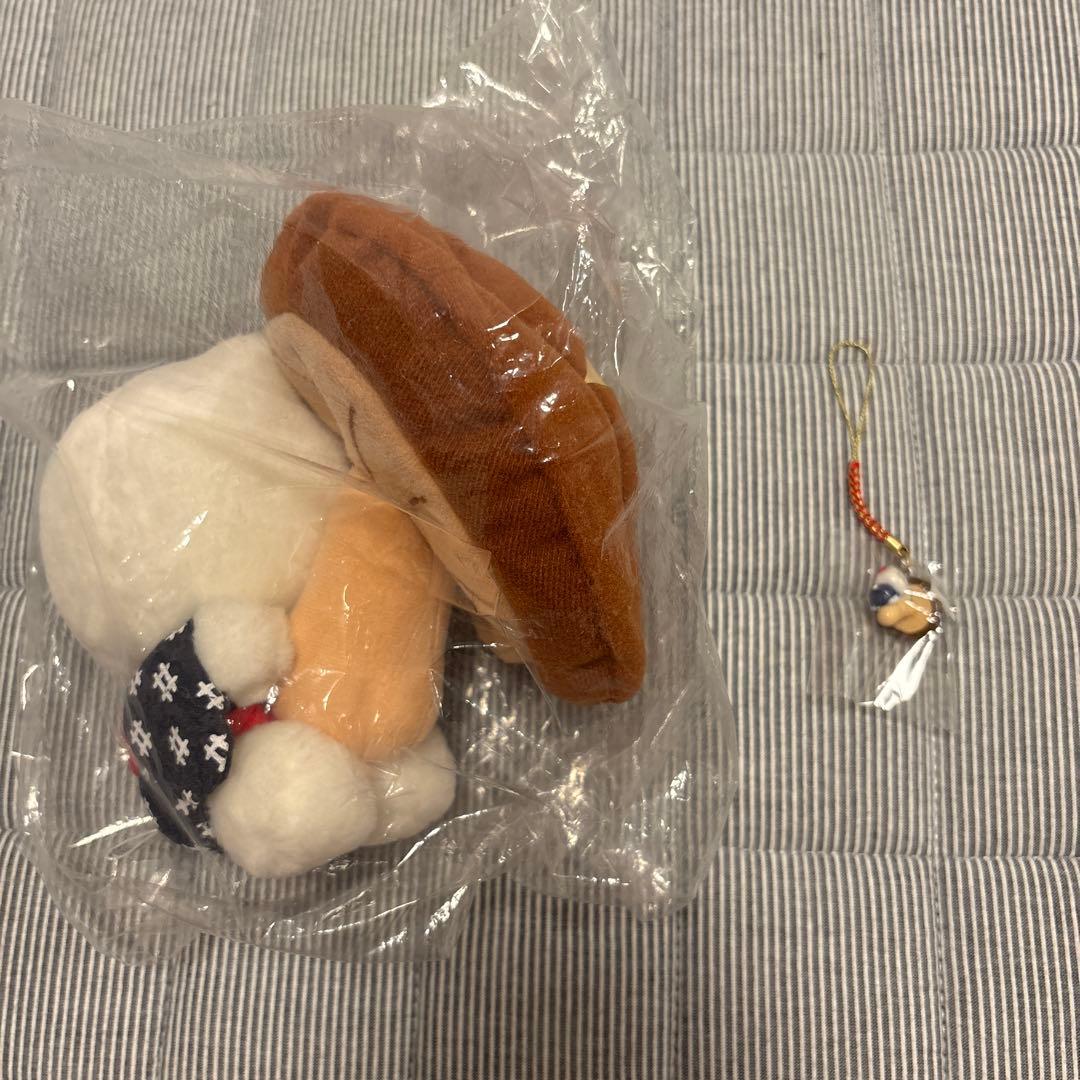 ご当地キティ　しいたけ　ぬいぐるみ　キーホルダー　まとめ売り