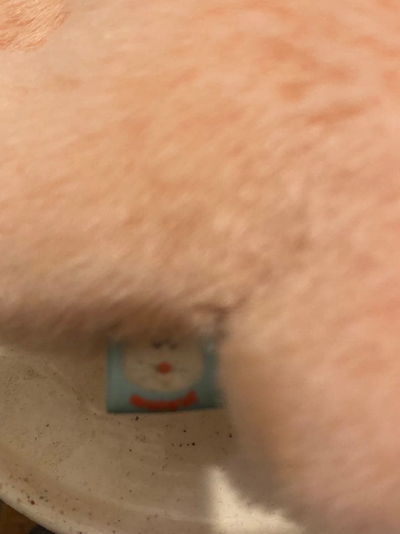 【希少】むにゅ　クマのぬいぐるみ