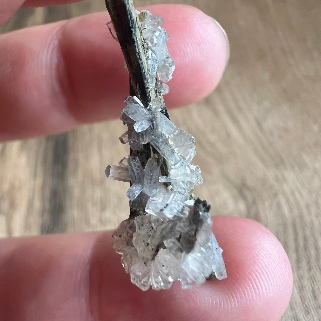 エジリン輝石 ナトロライト 41 共生 鉱物 標本 原石