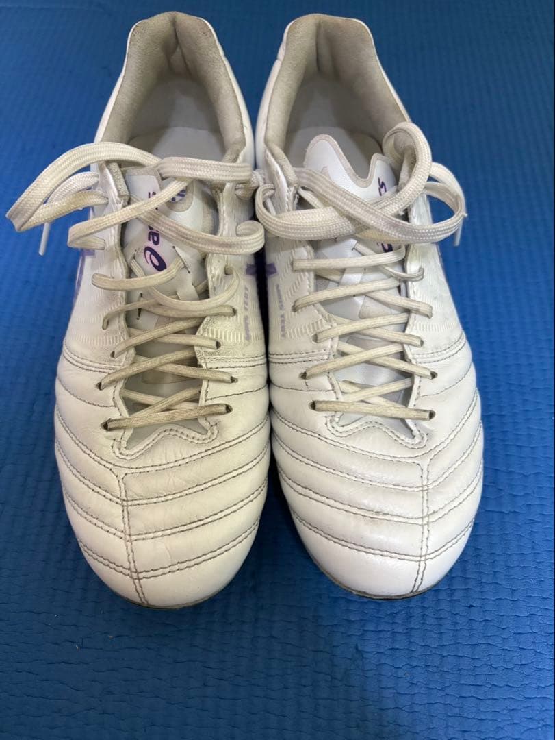 ASICS DSLIGHT xflyPRO2 ホワイト/パープル