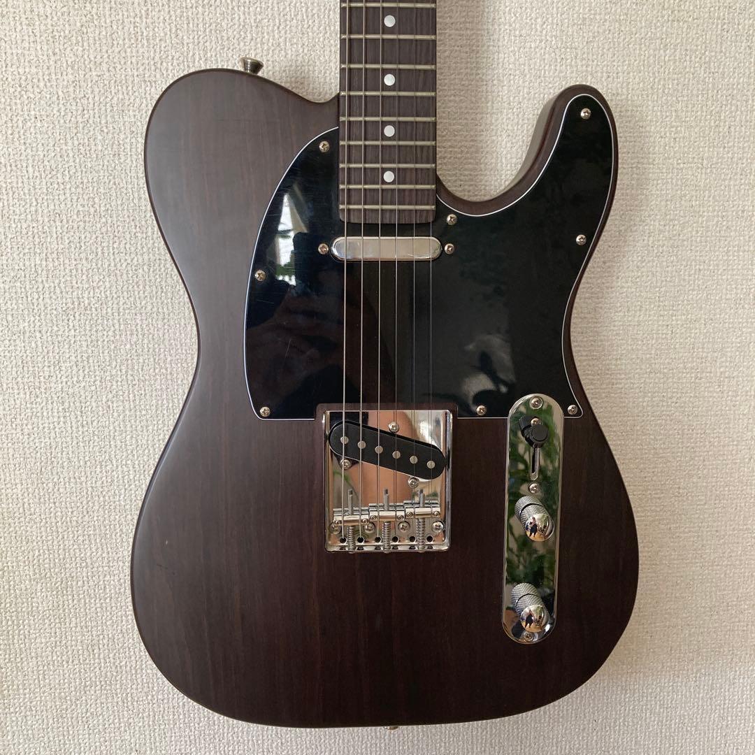 Bacchus BTE-TW テレキャスター エレキギター ソフトケース付き