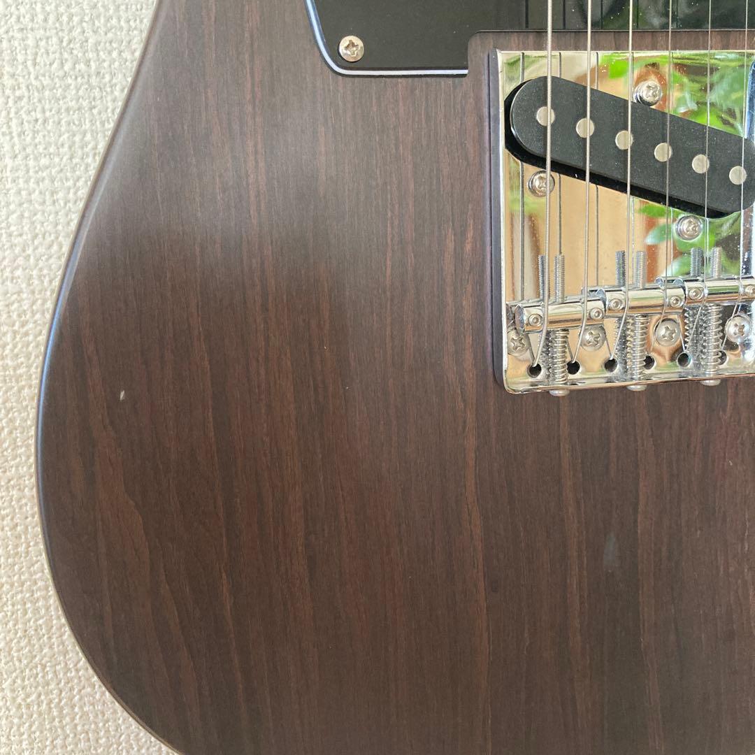 Bacchus BTE-TW テレキャスター エレキギター ソフトケース付き