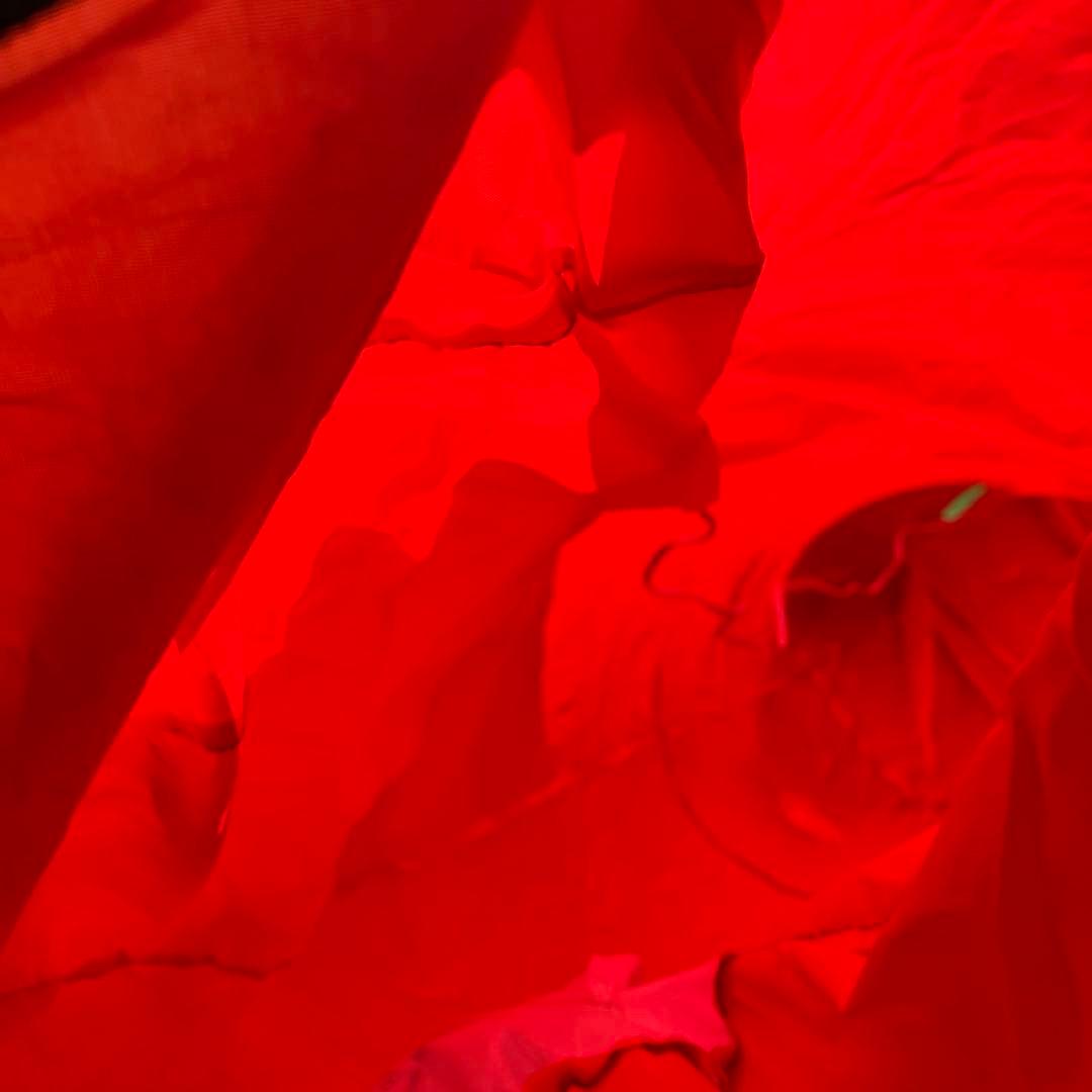 A-2 エアーアーチ クマとウサギのバルーン 門型 イルミネーション イベント