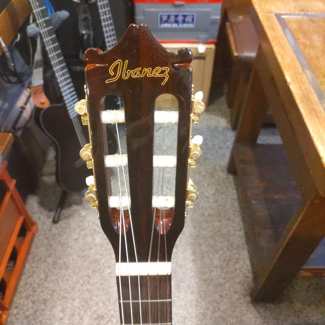 Ibanez GA8TCE エレガット (サイ)