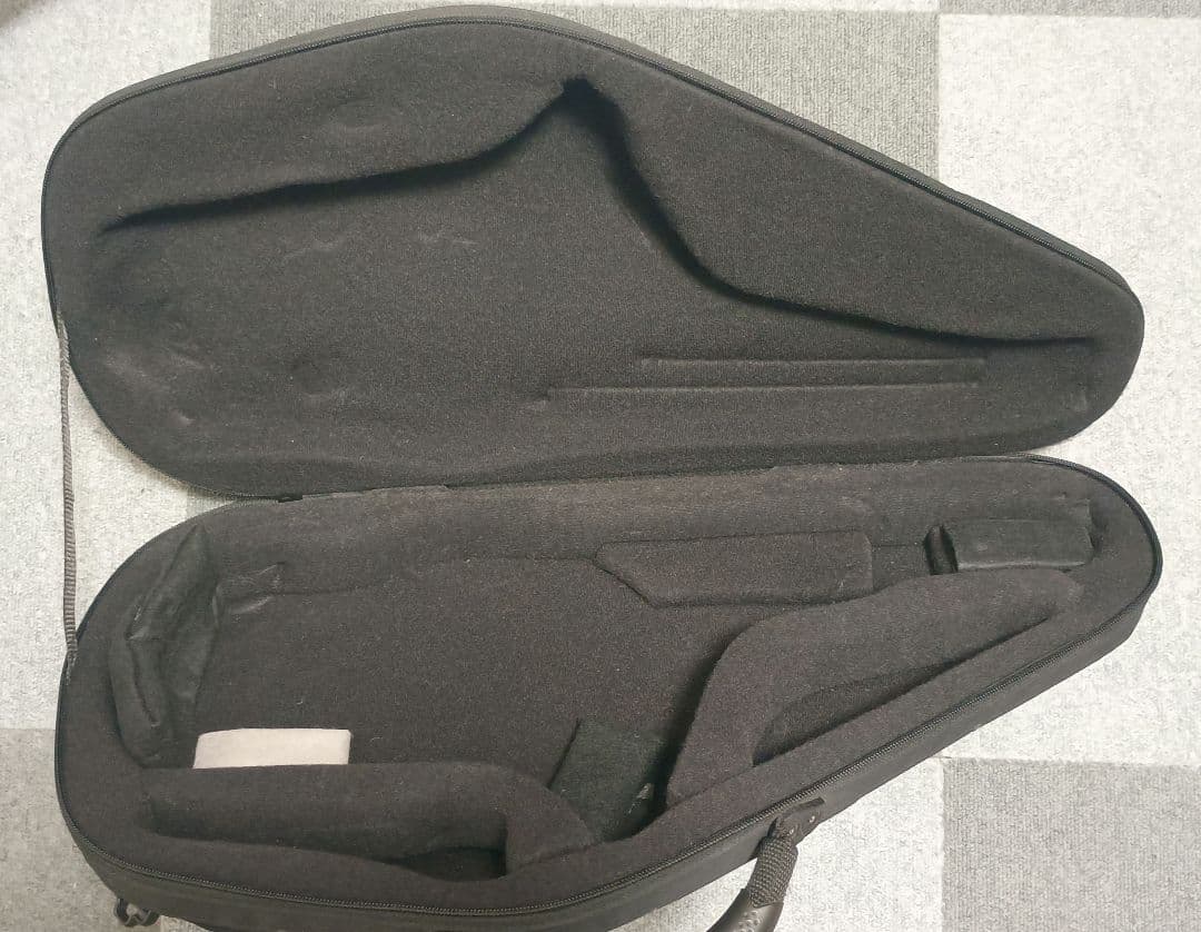 bags バッグス EFAS Fiber アルトサックスケース