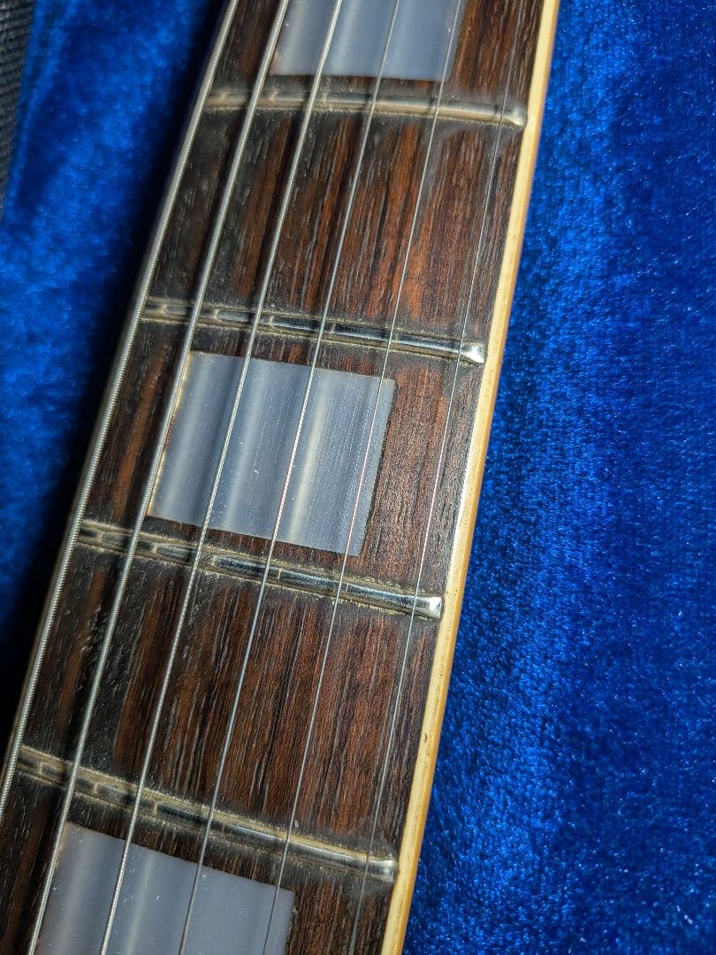 【Fresher】レスポールタイプ 3ピックアップ