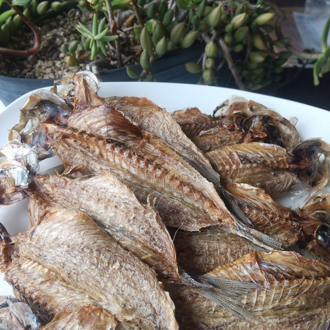 桃夢　犬の無添加おやつ