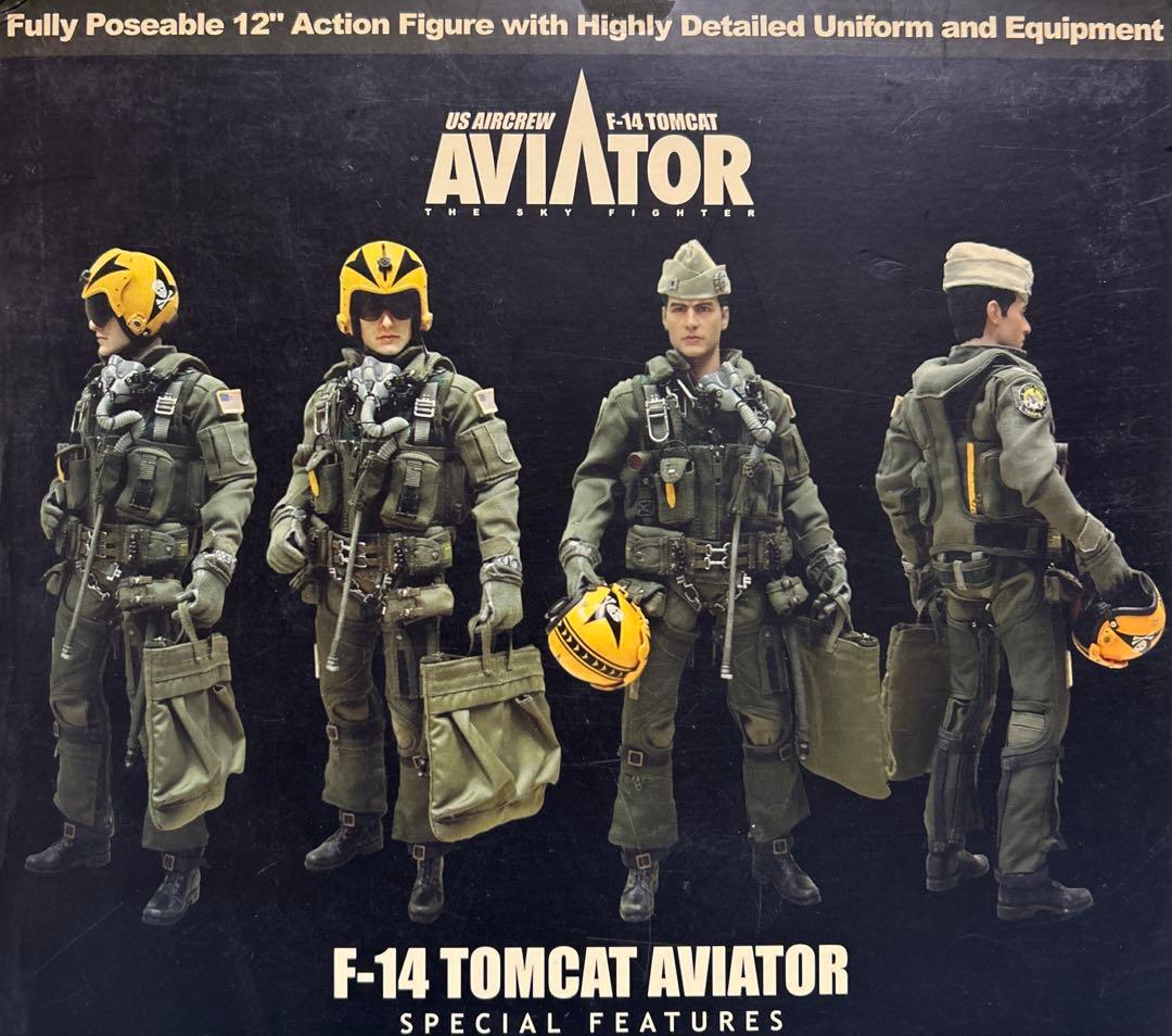 ホットトイズ•F-14トムキャット•アビエイター