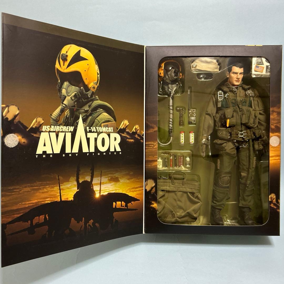 ホットトイズ•F-14トムキャット•アビエイター