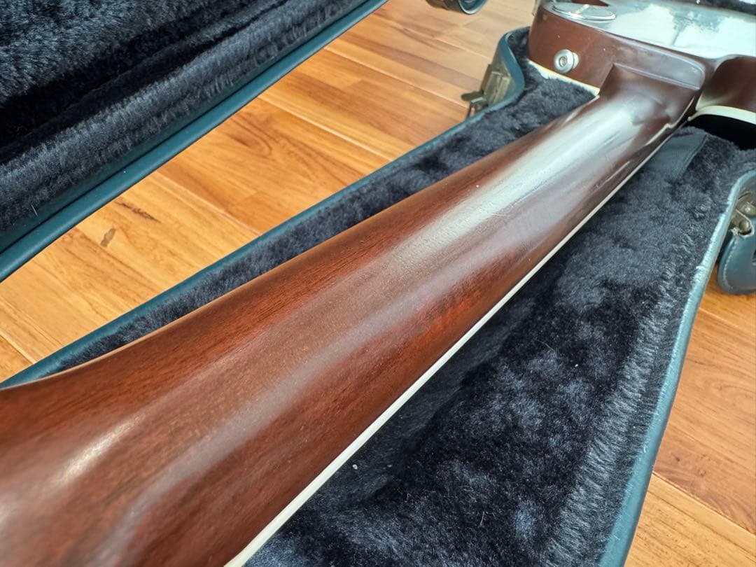 Zemaitis CS24PF RING CHESS エレキギター　ゼマイティス