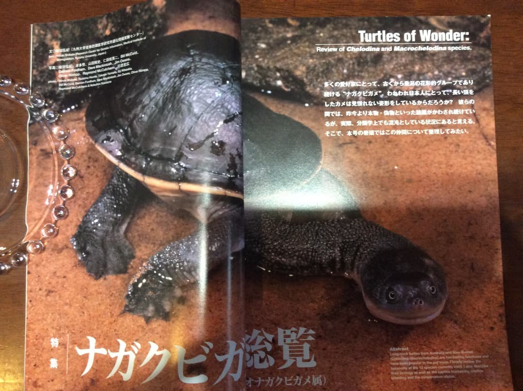 EXTRA CREEPER エクストラ・クリーパー 全4冊 誠文堂新光社