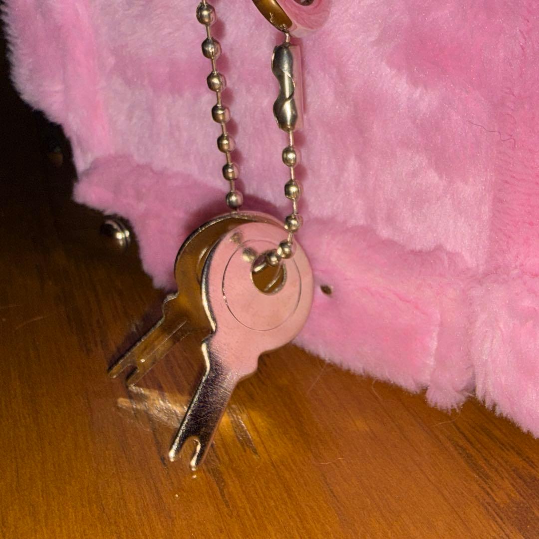 【新品未開封】エンジェル ドゥミセックロゼ シャンパン ピンク ファータイプ