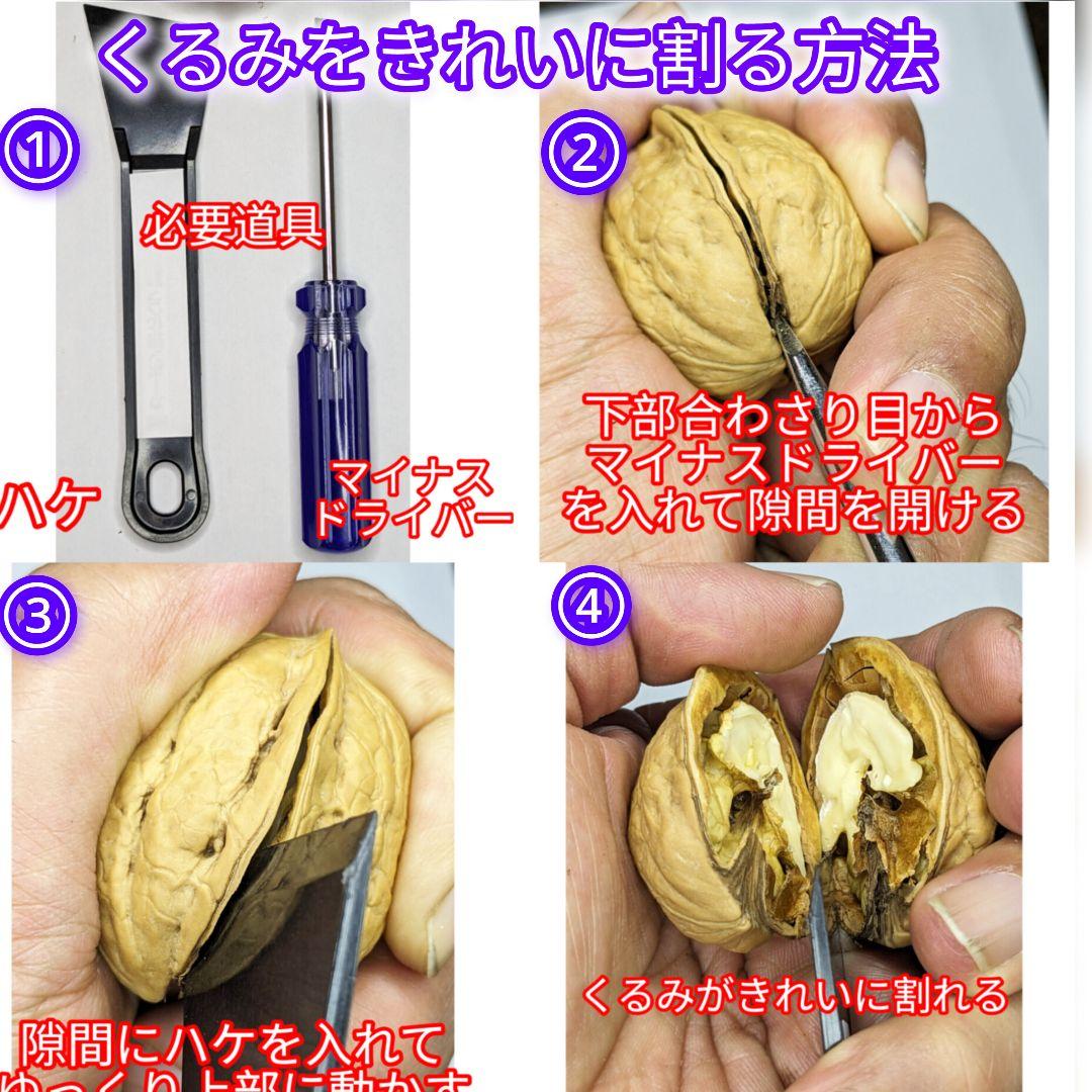 くまたくん商品 25年産 新物 国産 殻付き信濃くるみ 長野県産