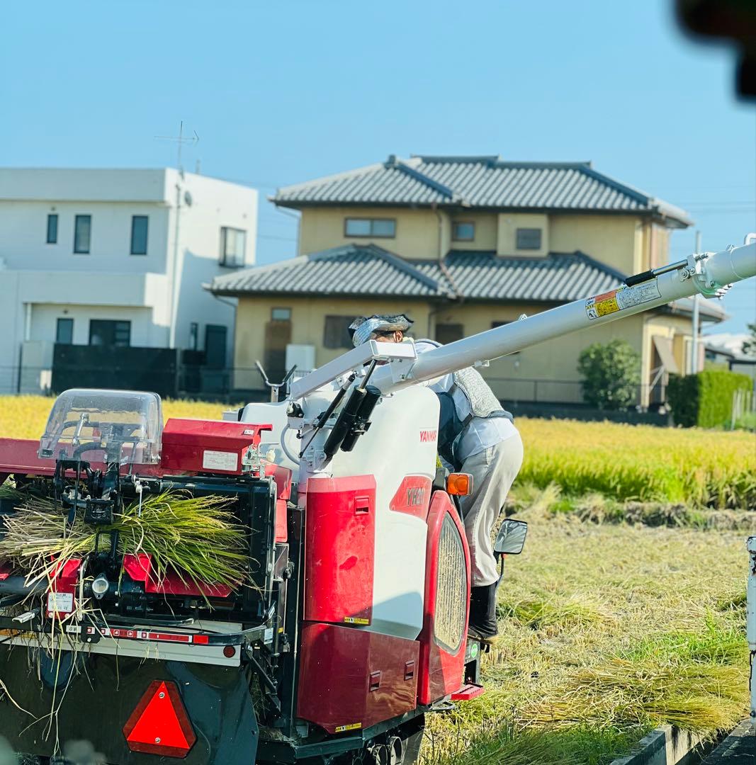 R7コシヒカリ新米