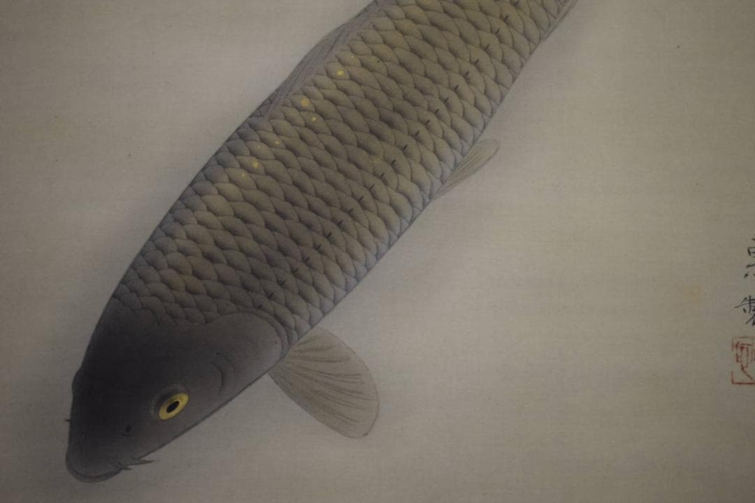 真作/恵製/鯉図/布袋屋掛軸HF-354