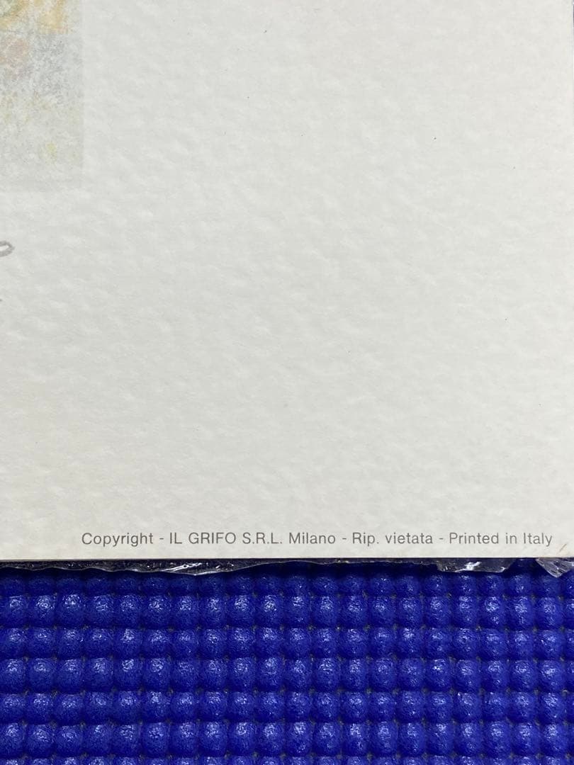 F. NERI 水彩画 Grazia della Folla