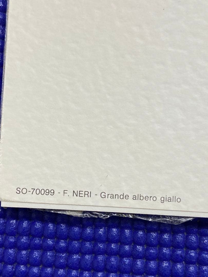 F. NERI 水彩画 Grazia della Folla