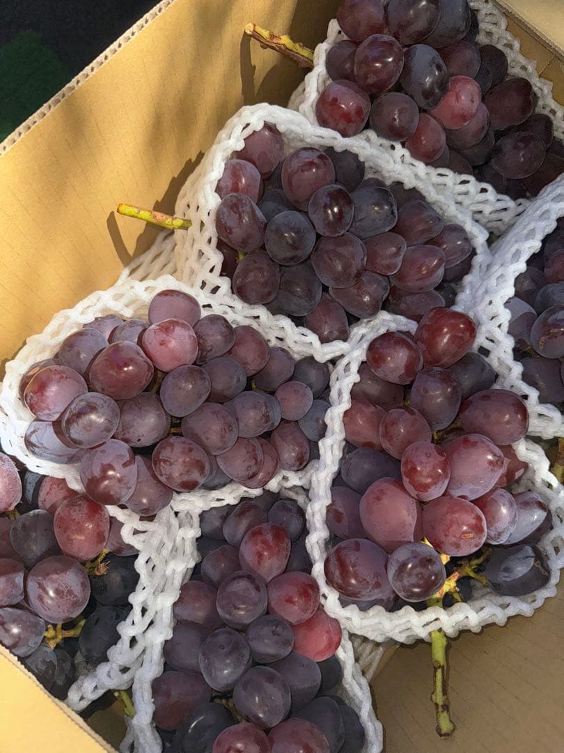 山梨県産ぶどう⭐️富士の輝ブラックシャインマスカット⭐️7房入り箱込み約5.8キロ