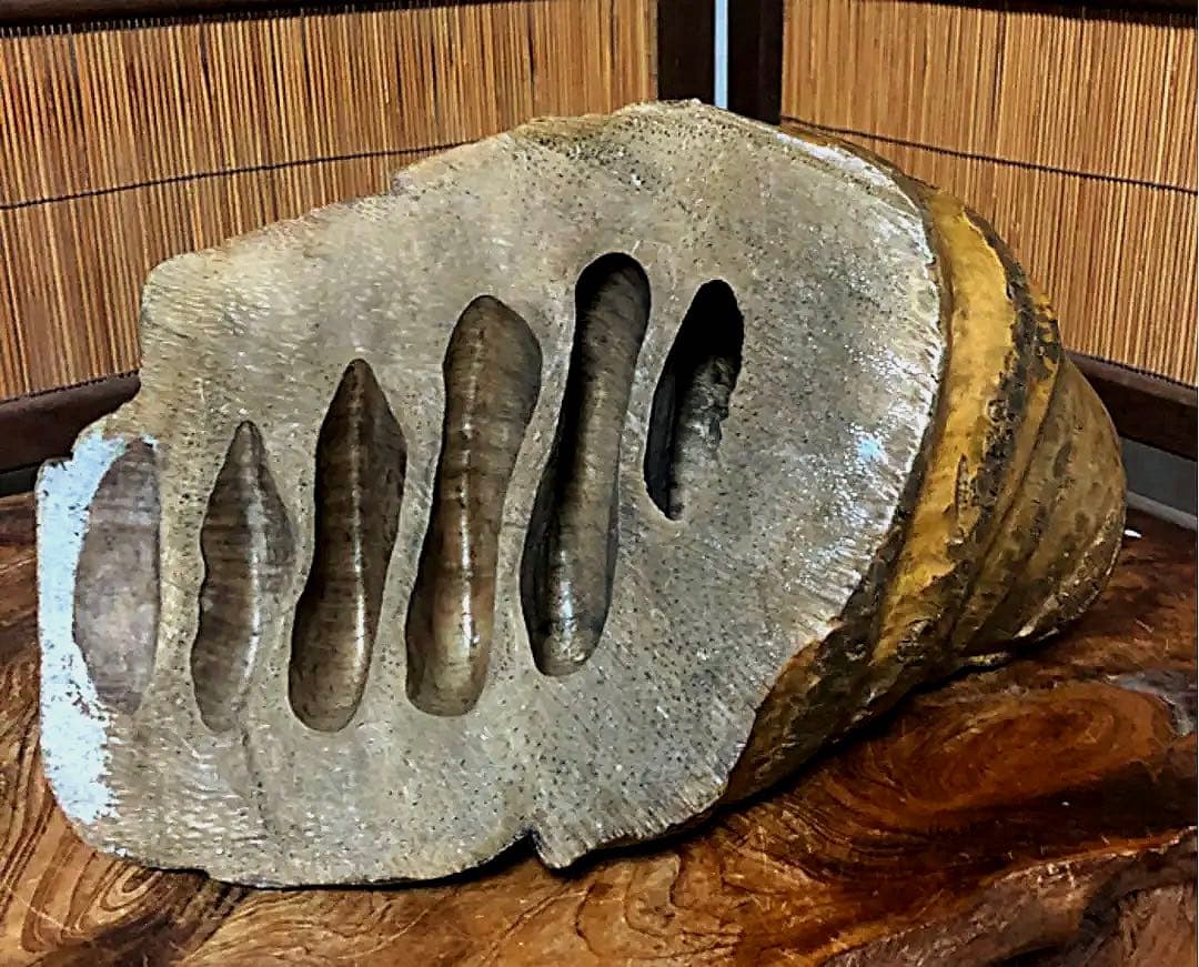 仏教美術 七福神 とろとろ 古竹彫り 弥勒菩薩 仏像