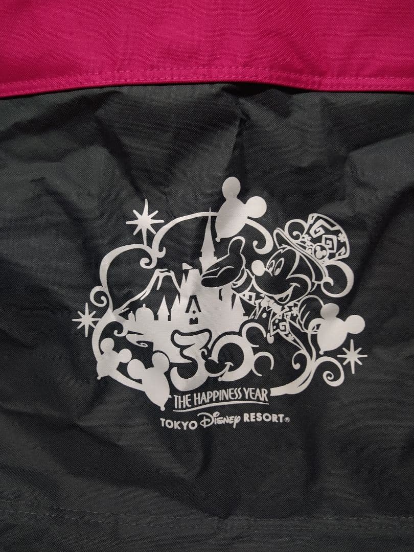 非売品　ロゴス　アウトドアチェア　2脚　東京ディズニーリゾート　30周年　限定品