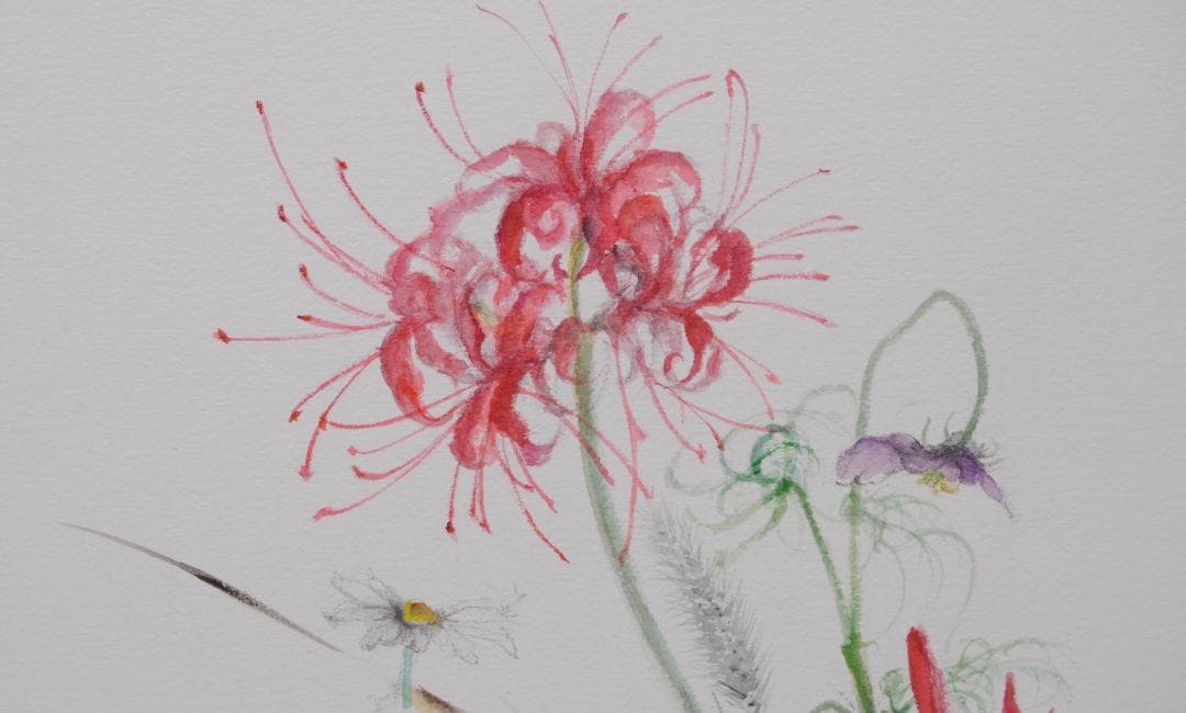 彼岸花 曼殊沙華 コスモス のじぎく 猫じゃらし 水彩画 絵画 花の絵 秋