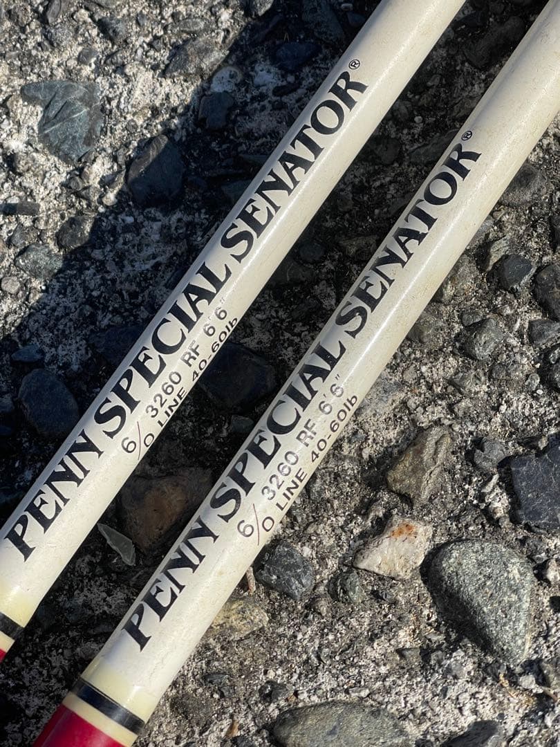 PENN SPECIAL SENATOR®