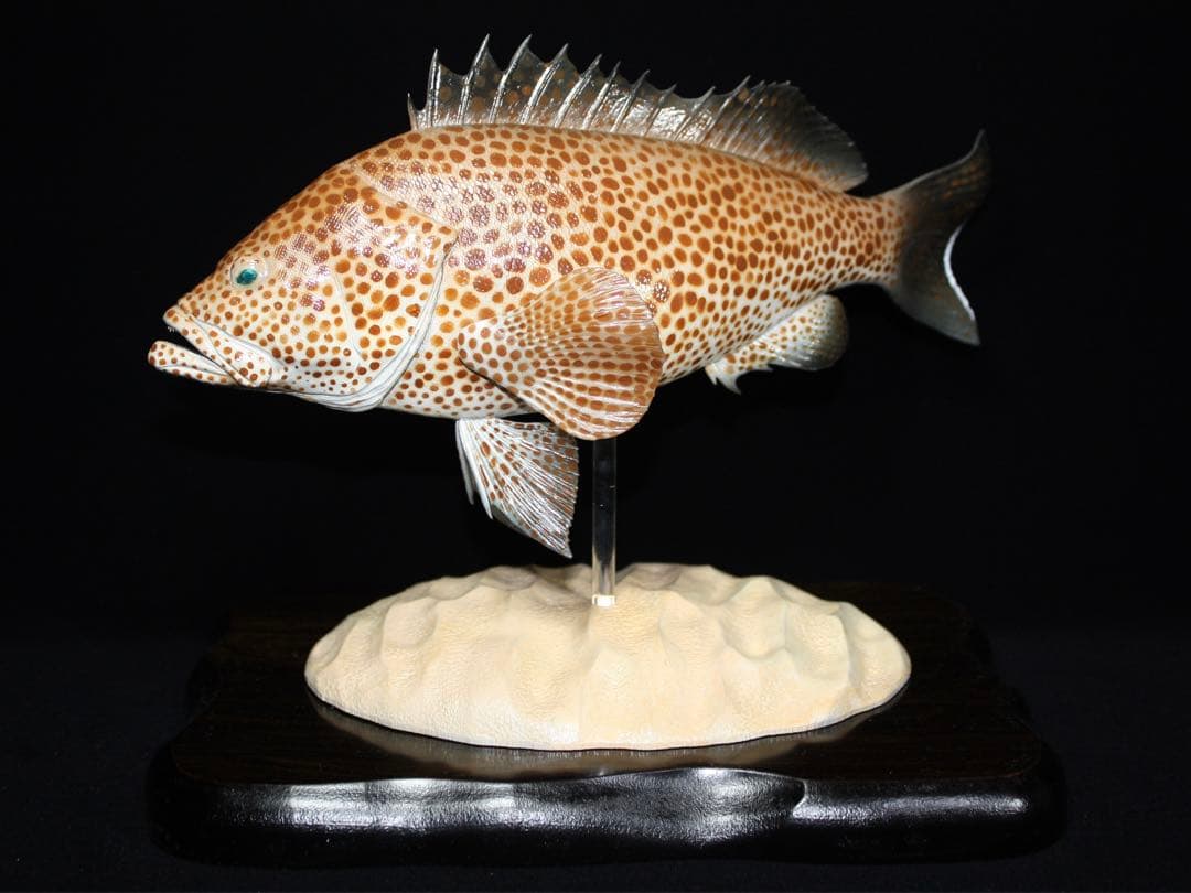 オオモンハタ　フィギュア　魚寸27cm