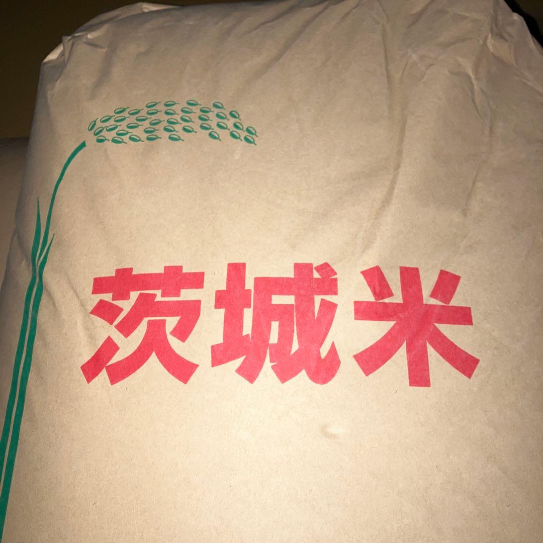 令和7年度産　茨城県産　コンヒカリ 玄米30kg