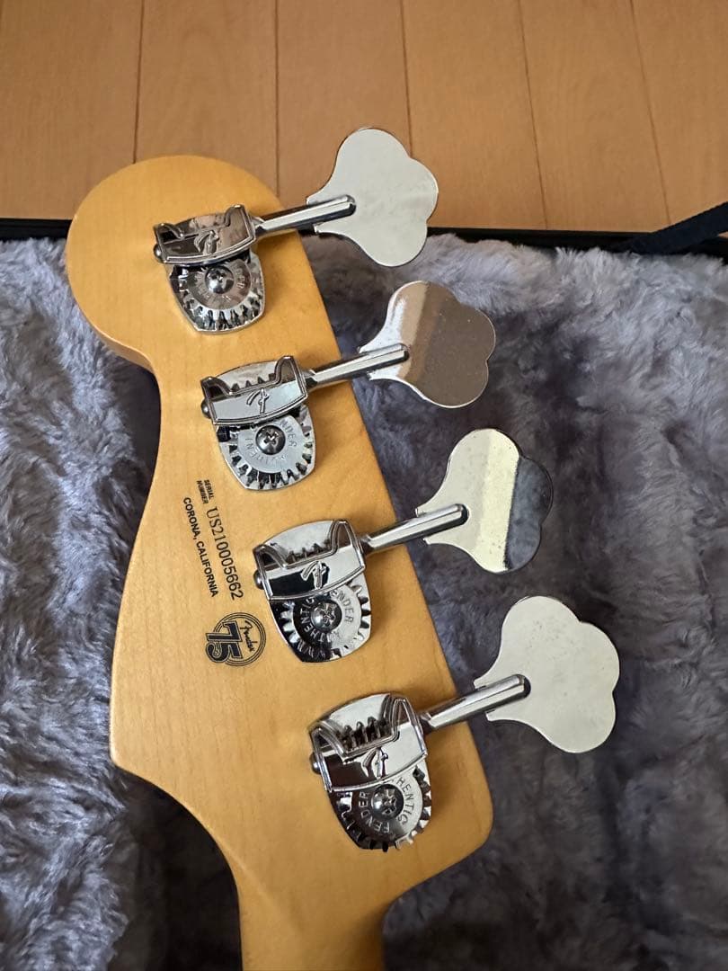 American Professional IIハードケース　付き