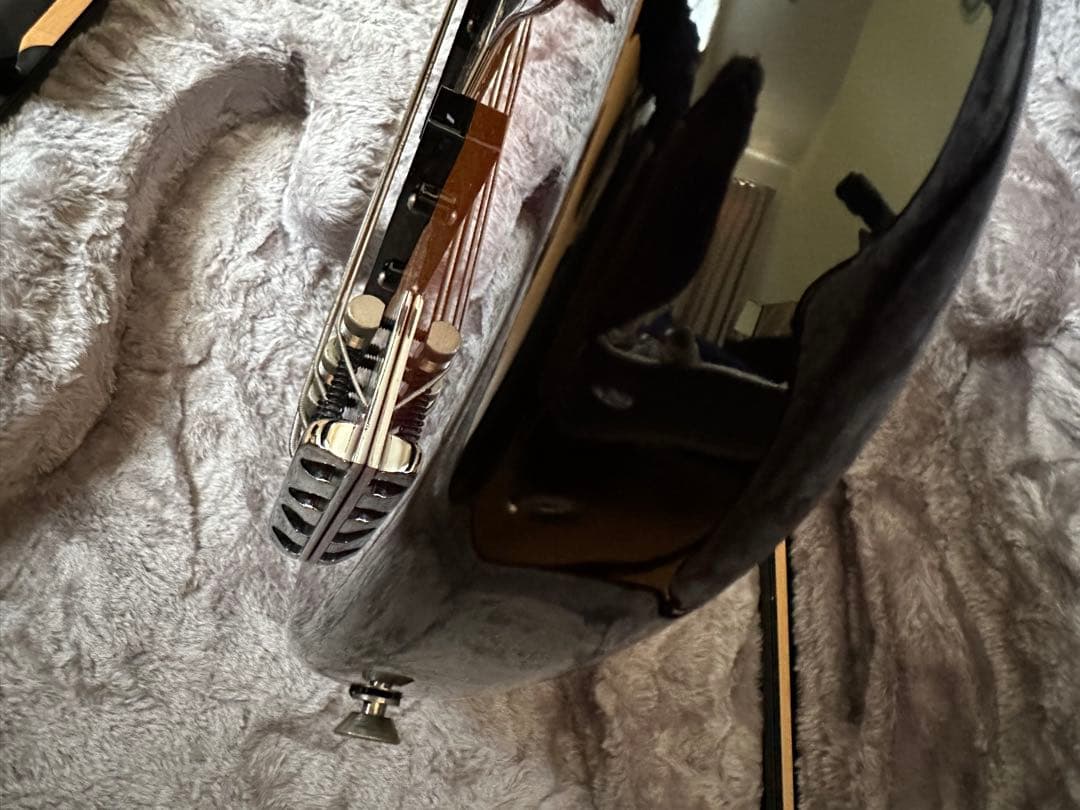 American Professional IIハードケース　付き