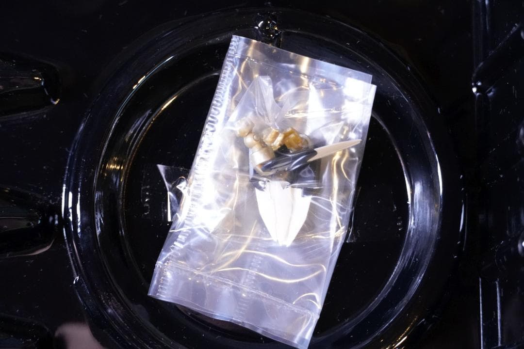 ANUBIS ジェフティ 2点セット