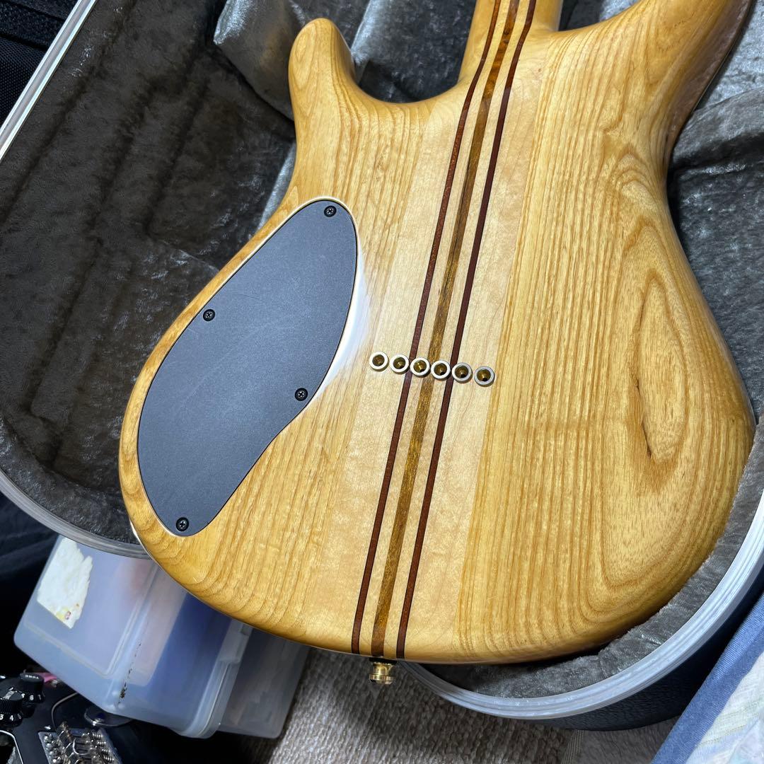 ギター MAYONES Regius6 REG6-TEGRNG