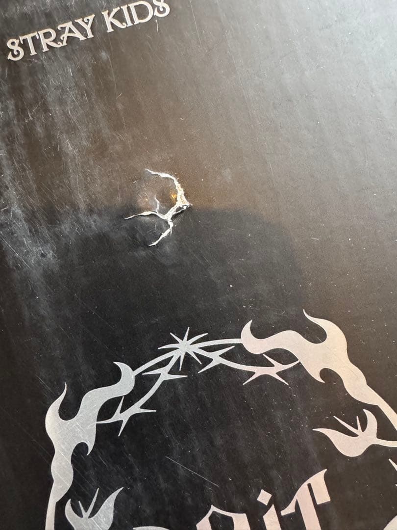 straykids 中国　POPUP SKZOOタンブラー　ポガリ　フィリックス