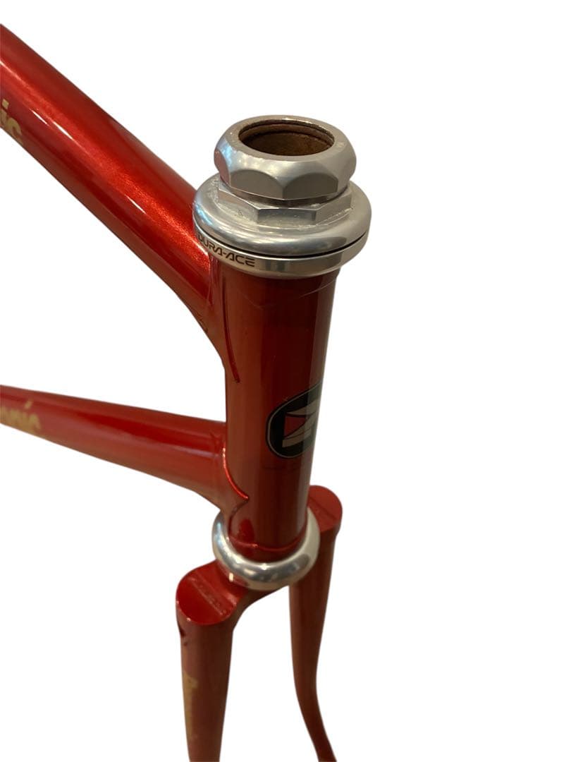 Panasonic ピストフレーム 競輪　NJS