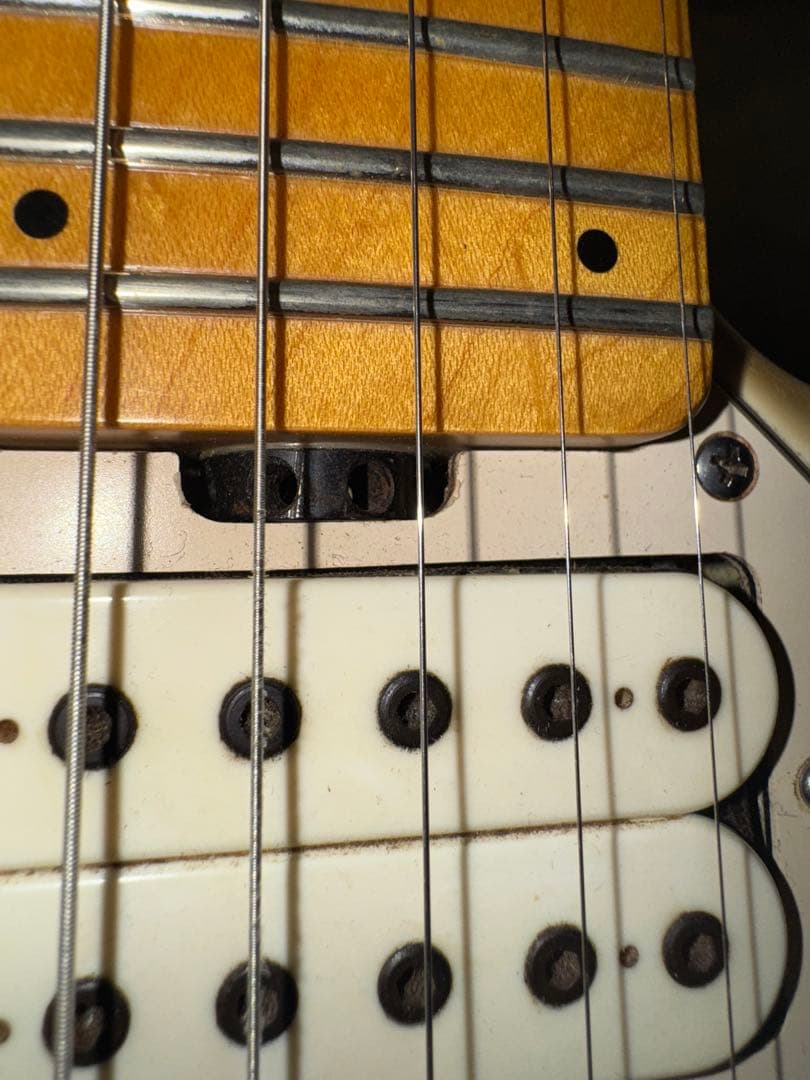 【xxx toosee 】MusicMan Silhouette