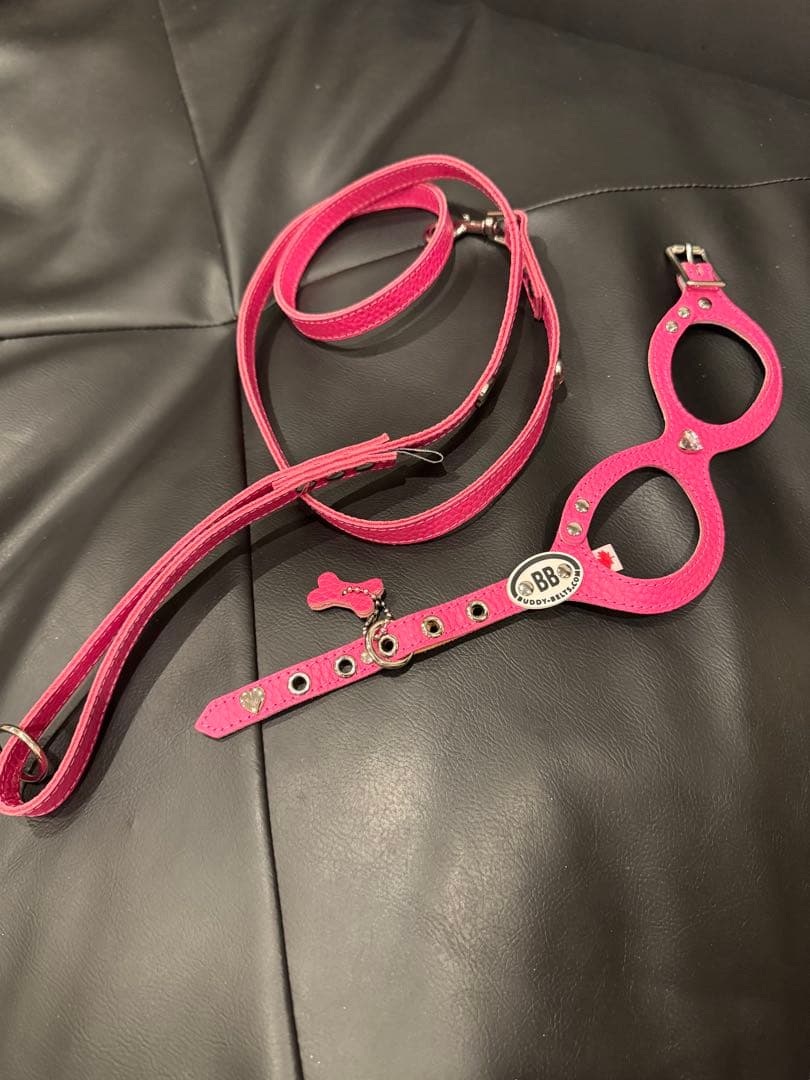 BB バディーベルト2 ピンク ハーネスリードセット