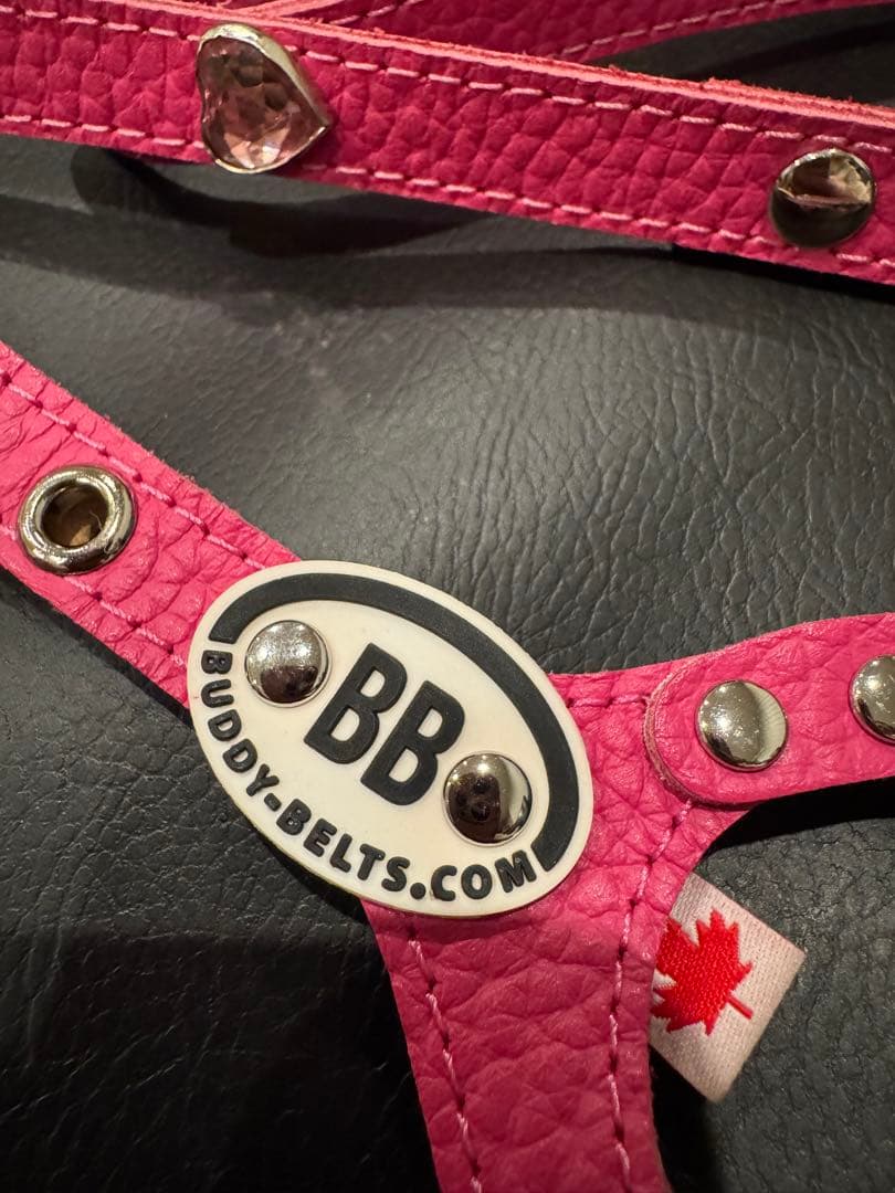 BB バディーベルト2 ピンク ハーネスリードセット