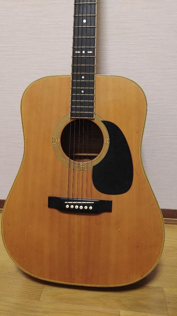 ギター Cats Eyes CE-250