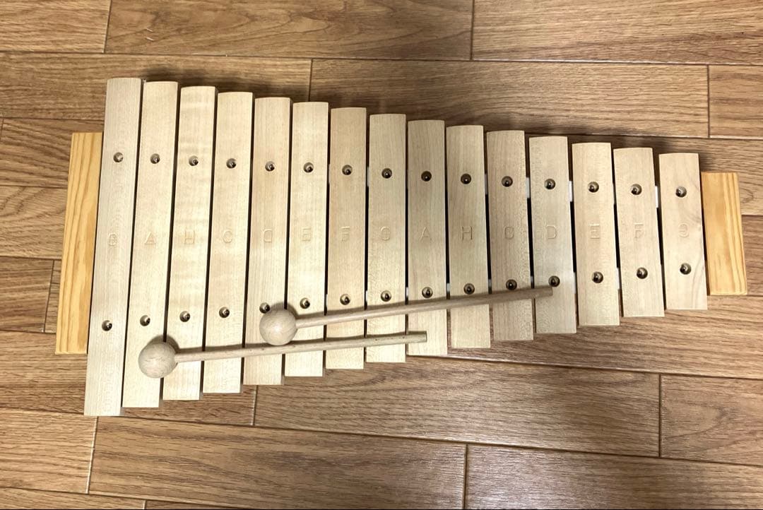 goldon from Germany 知育楽器　木琴　音楽療法　天然素材