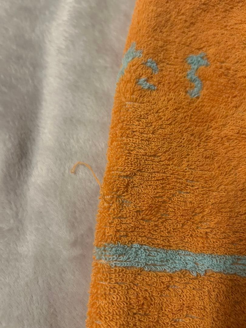 Saucy Dog サウシー タオル おーなーず グッズ セット