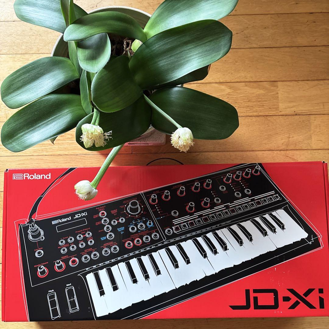 Roland JD-Xi シンセサイザー 本体