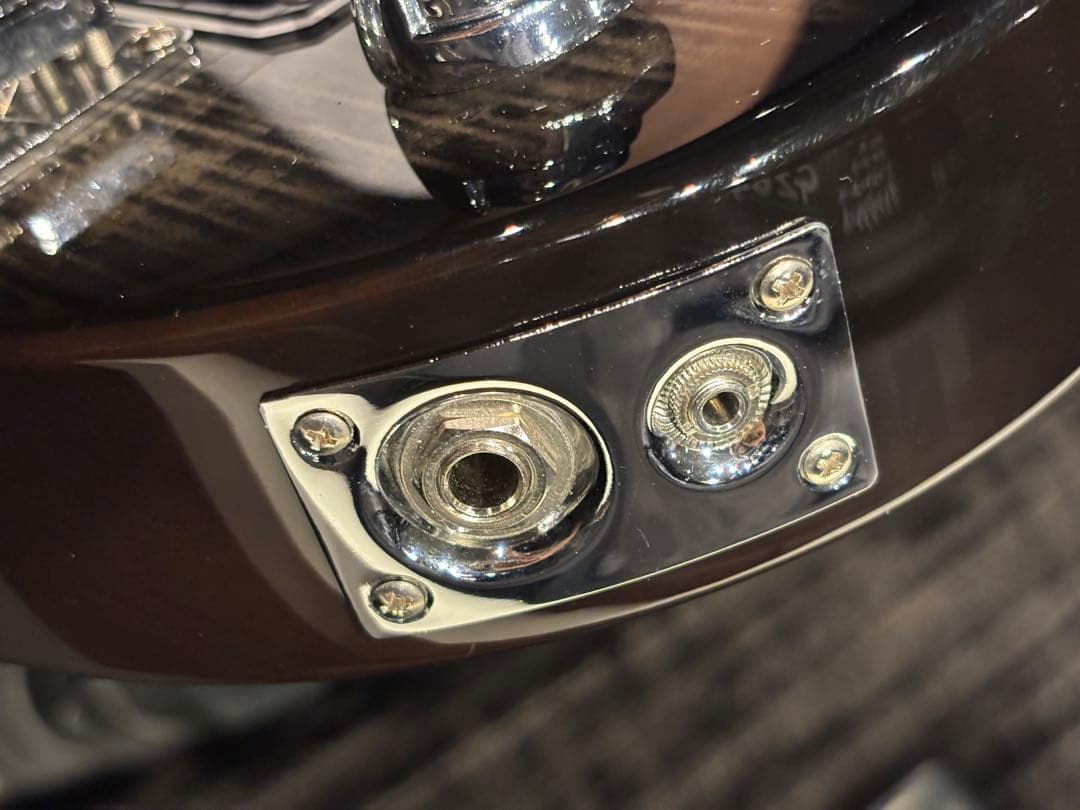 PIGNOSE ( ピグノーズ ) PGG-200FM SBK