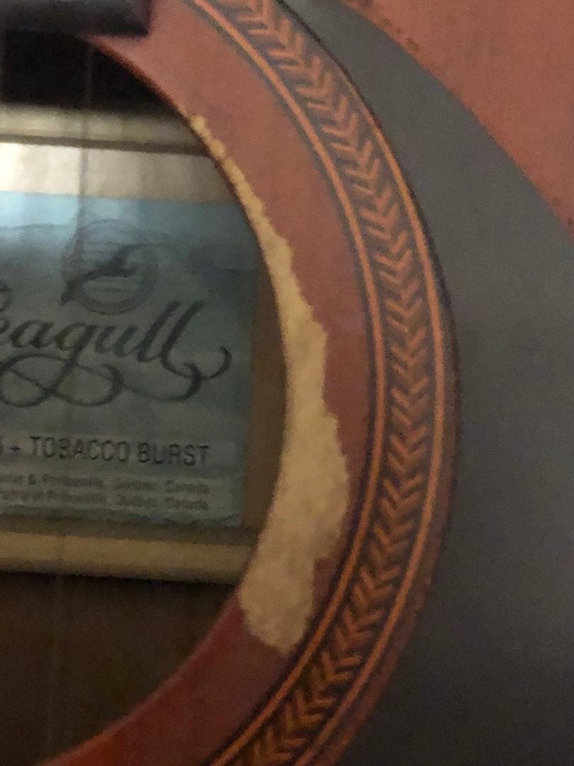 アコギ 中古 Seagull S6 + Tobacco Burst