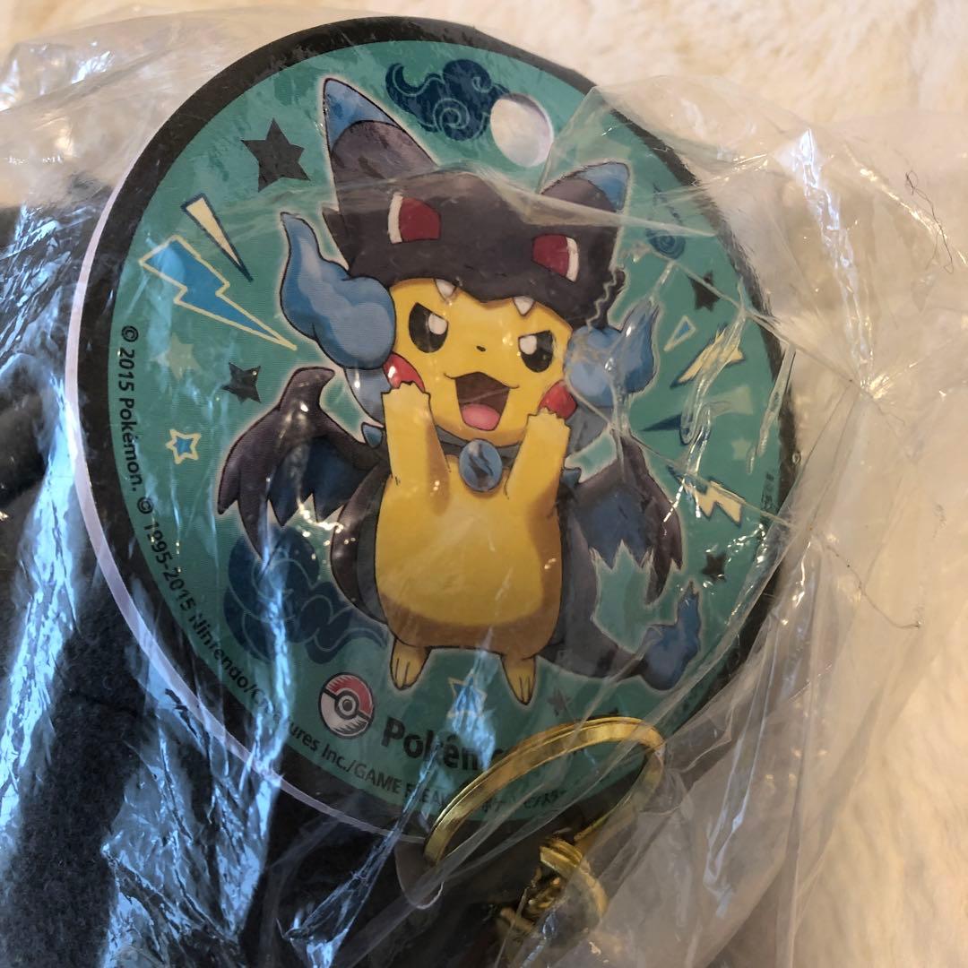 ポケモン　メガリザードンXのポンチョをきたピカチュウ マスコット　ぬいぐるみ