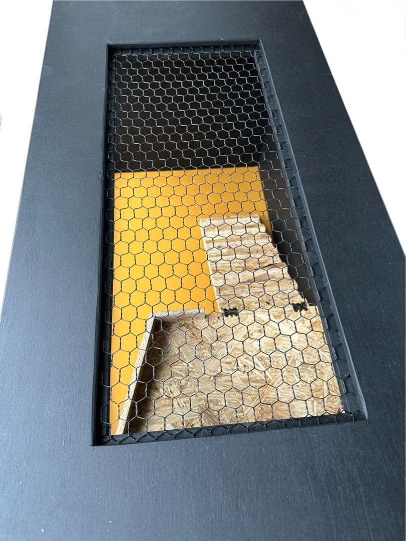 爬虫類ゲージ　※写真はオプション(別売り)2階&ガラス使用になります。