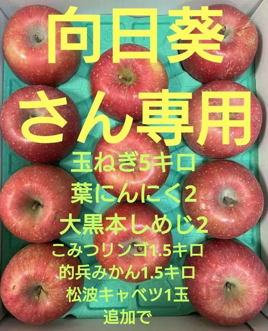 向日葵さん専用