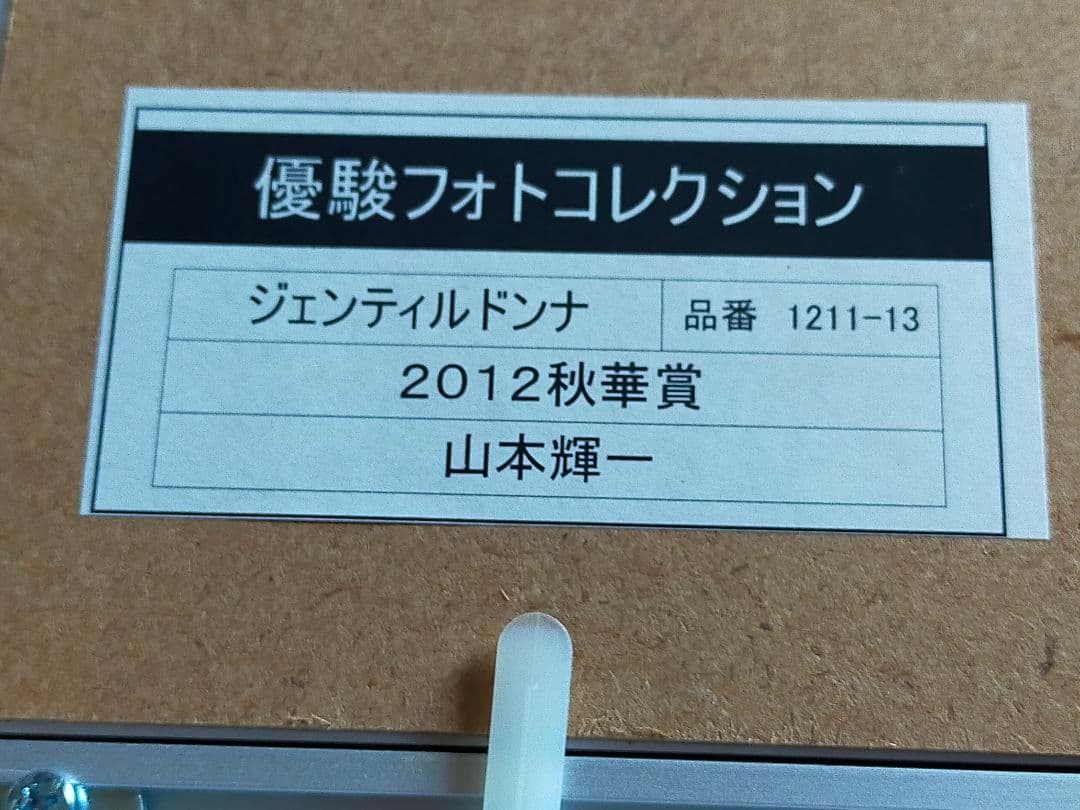 ◆　競馬　JRA　◆　ジェンティルドンナ　◆　３冠目　秋華賞　◆　フォト　◆