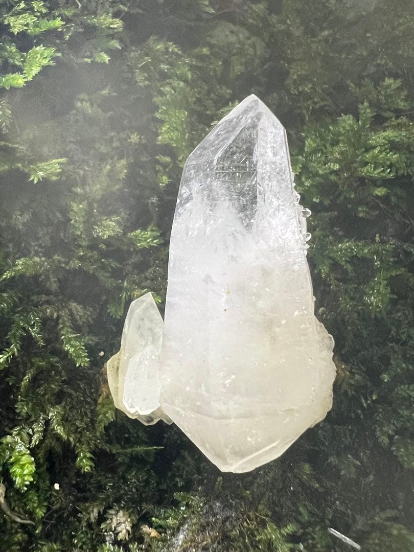 龍脈の精髄 九州産両剣水晶＋クラスター付き＋虹入り 【保護猫活動支援】